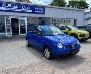 Harley Davidson Lupo 
