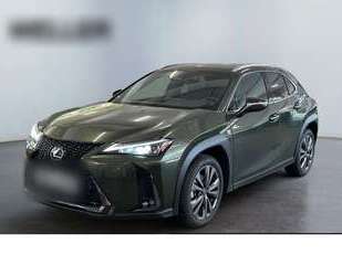 Lexus UX 250h Gebrauchtwagen