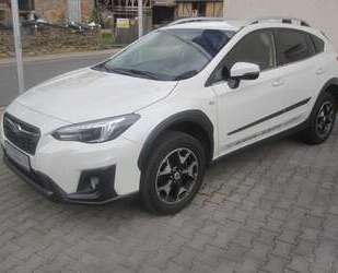 Subaru XV Gebrauchtwagen