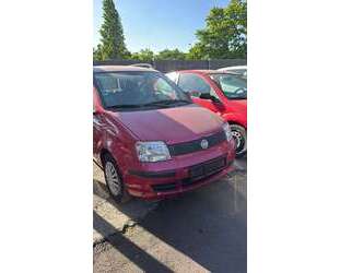 Fiat Panda Gebrauchtwagen