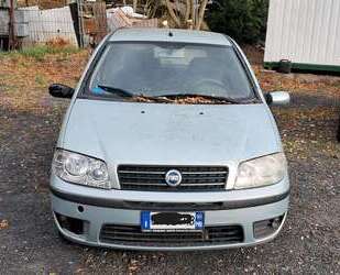 Fiat Punto Gebrauchtwagen
