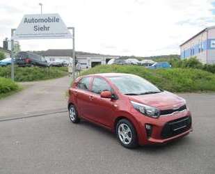 Kia Picanto Gebrauchtwagen