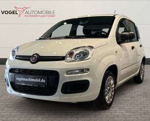 Fiat Panda Gebrauchtwagen
