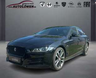 Jaguar XE Gebrauchtwagen