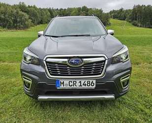Subaru Forester Gebrauchtwagen