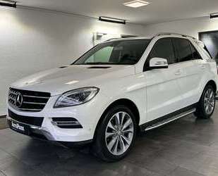 Mercedes-Benz ML 250 Gebrauchtwagen