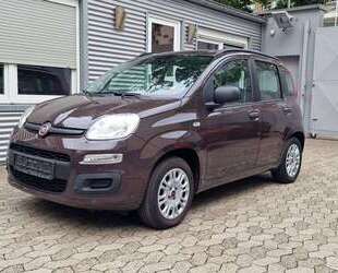Fiat Panda Gebrauchtwagen