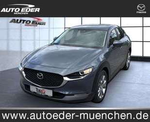 Mazda CX-30 Gebrauchtwagen