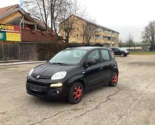 Fiat Panda Gebrauchtwagen