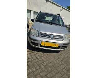 Fiat Panda Gebrauchtwagen