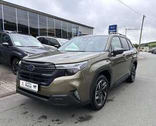 Subaru Forester Gebrauchtwagen