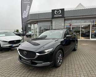 Mazda CX-30 Gebrauchtwagen