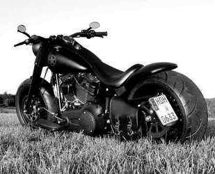 Harley Davidson Fat Boy Gebrauchtwagen