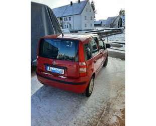 Fiat Panda Gebrauchtwagen