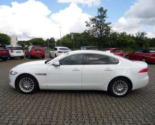 Jaguar XF Gebrauchtwagen