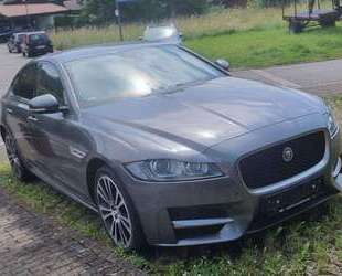 Jaguar XF Gebrauchtwagen