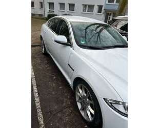 Jaguar XF Gebrauchtwagen