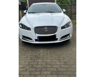 Jaguar XF Gebrauchtwagen