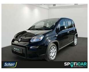Fiat Panda Gebrauchtwagen