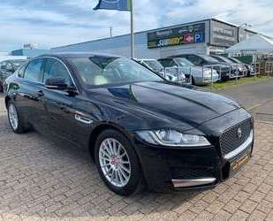 Jaguar XF Gebrauchtwagen