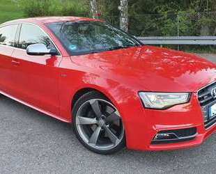 Audi S5 Gebrauchtwagen