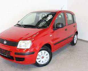 Fiat Panda Gebrauchtwagen