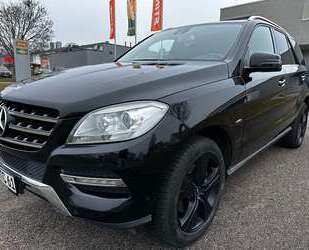Mercedes-Benz ML 250 Gebrauchtwagen