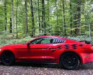 Ford Mustang Gebrauchtwagen