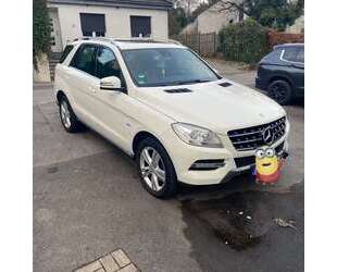 Mercedes-Benz ML 250 Gebrauchtwagen