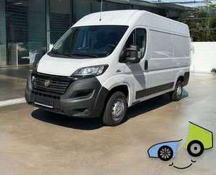 Fiat Ducato Gebrauchtwagen