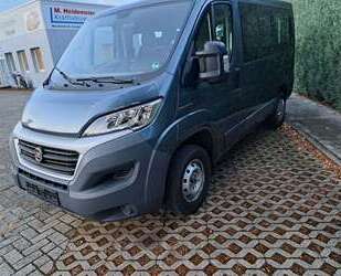Fiat Ducato Gebrauchtwagen