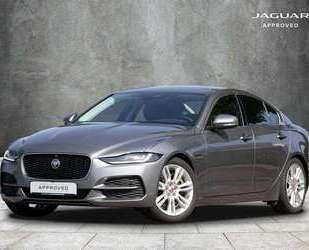 Jaguar XE Gebrauchtwagen