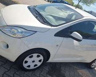 Ford Ka/Ka+ Gebrauchtwagen