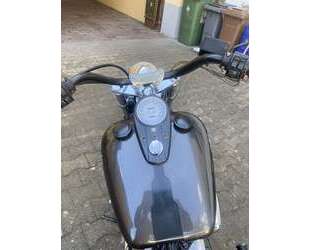 Harley Davidson 1200 Custom Gebrauchtwagen
