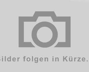 Fiat Punto Gebrauchtwagen