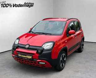 Fiat Panda Gebrauchtwagen