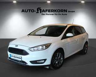 Ford Focus Gebrauchtwagen
