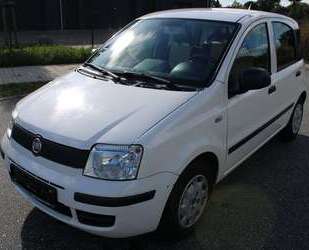 Fiat Panda Gebrauchtwagen