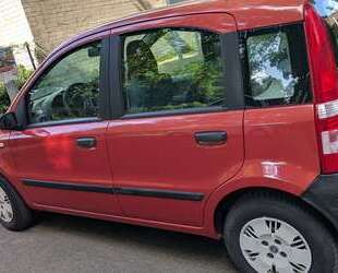 Fiat Panda Gebrauchtwagen