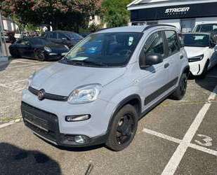 Fiat Panda Gebrauchtwagen