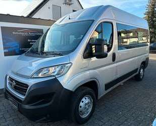 Fiat Ducato Gebrauchtwagen