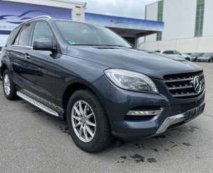 Mercedes-Benz ML 350 Gebrauchtwagen