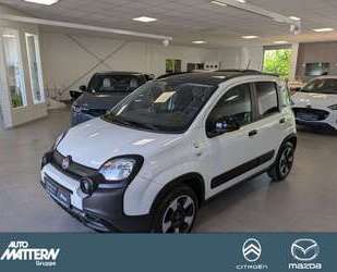 Fiat Panda Gebrauchtwagen