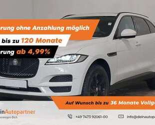 Jaguar F-Pace Gebrauchtwagen