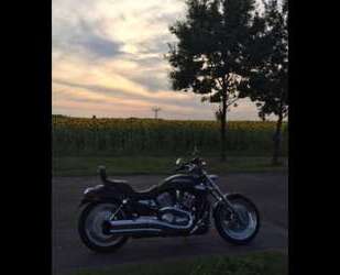 Harley Davidson V-Rod Gebrauchtwagen