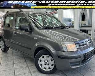 Fiat Panda Gebrauchtwagen