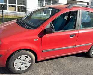 Fiat New Panda Gebrauchtwagen
