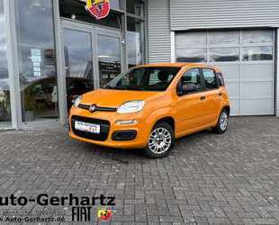 Ford Panda 
