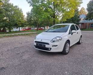 Fiat Punto Gebrauchtwagen