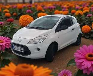 Ford Ka/Ka+ Gebrauchtwagen